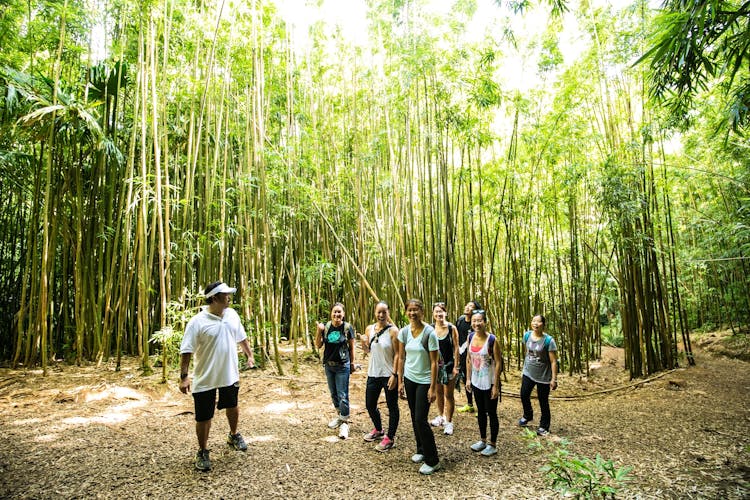 Ohau guided Hawaii's rainforest hike