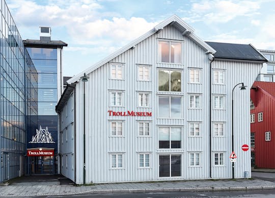 Visita guiada al Museo Tromsö de Tromsö