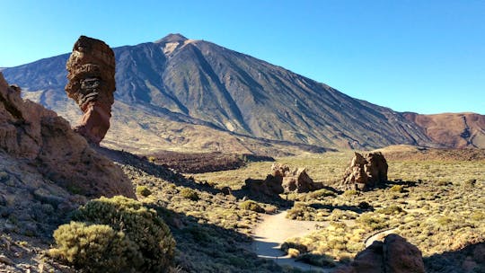 Visita guidata di mezza giornata in pullman al Parco Nazionale del Teide