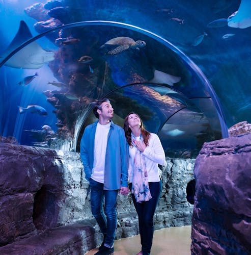 LEGOLAND® Discovery Center and SEA LIFE Aquarium Kansas City combo ticket