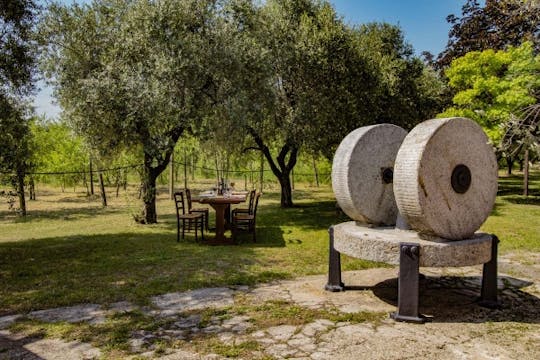 Aperitif at the oil mill on Lake Garda