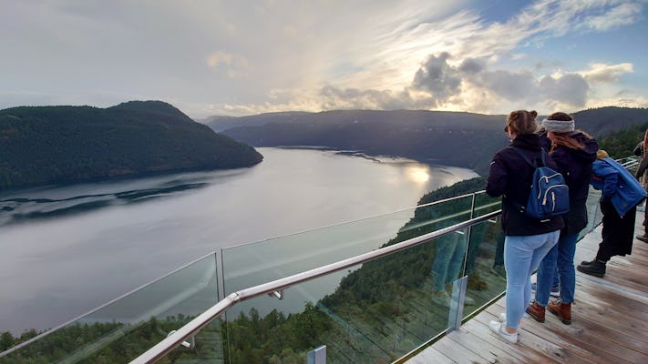 Visita guiada à Ilha de Vancouver e Malahat Skywalk