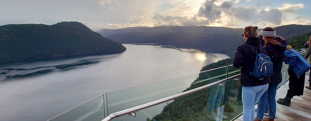 Visita guiada à Ilha de Vancouver e Malahat Skywalk