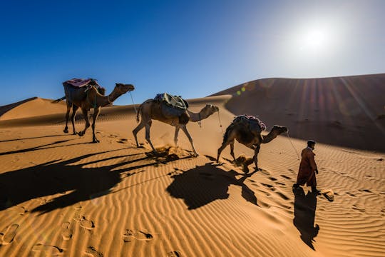M'hamid el Ghizlan 2-day private desert tour from Marrakech