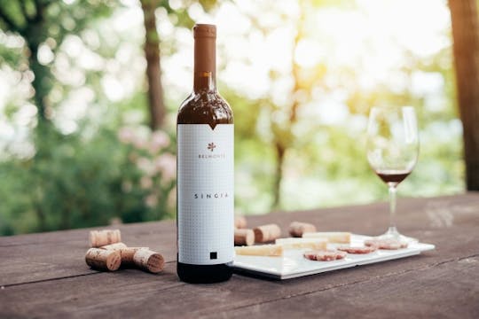 Wine tasting in Valtenesi countryside