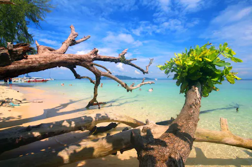 Private Full Day Speedboat Tour with Emerald Cave Visit