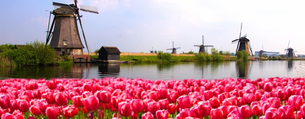 Bilhetes e tours para The Flower Bulb Region