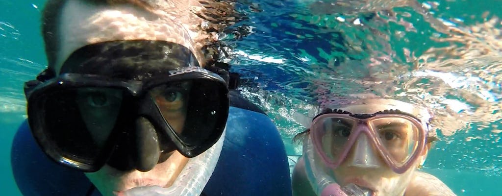 3-hour cruise and snorkeling experience in Key West