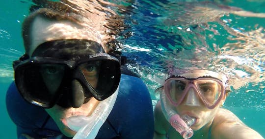 3-hour cruise and snorkeling experience in Key West