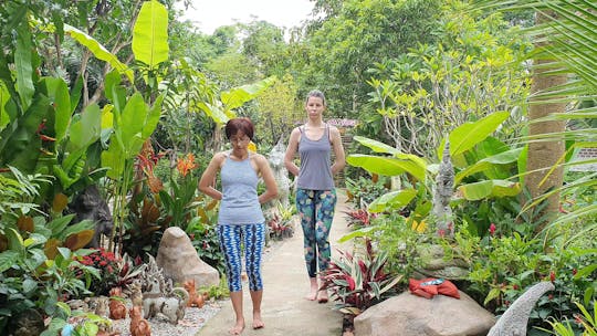 Cultura tailandesa de meio dia, ioga e retiro de meditação em Chiang Mai