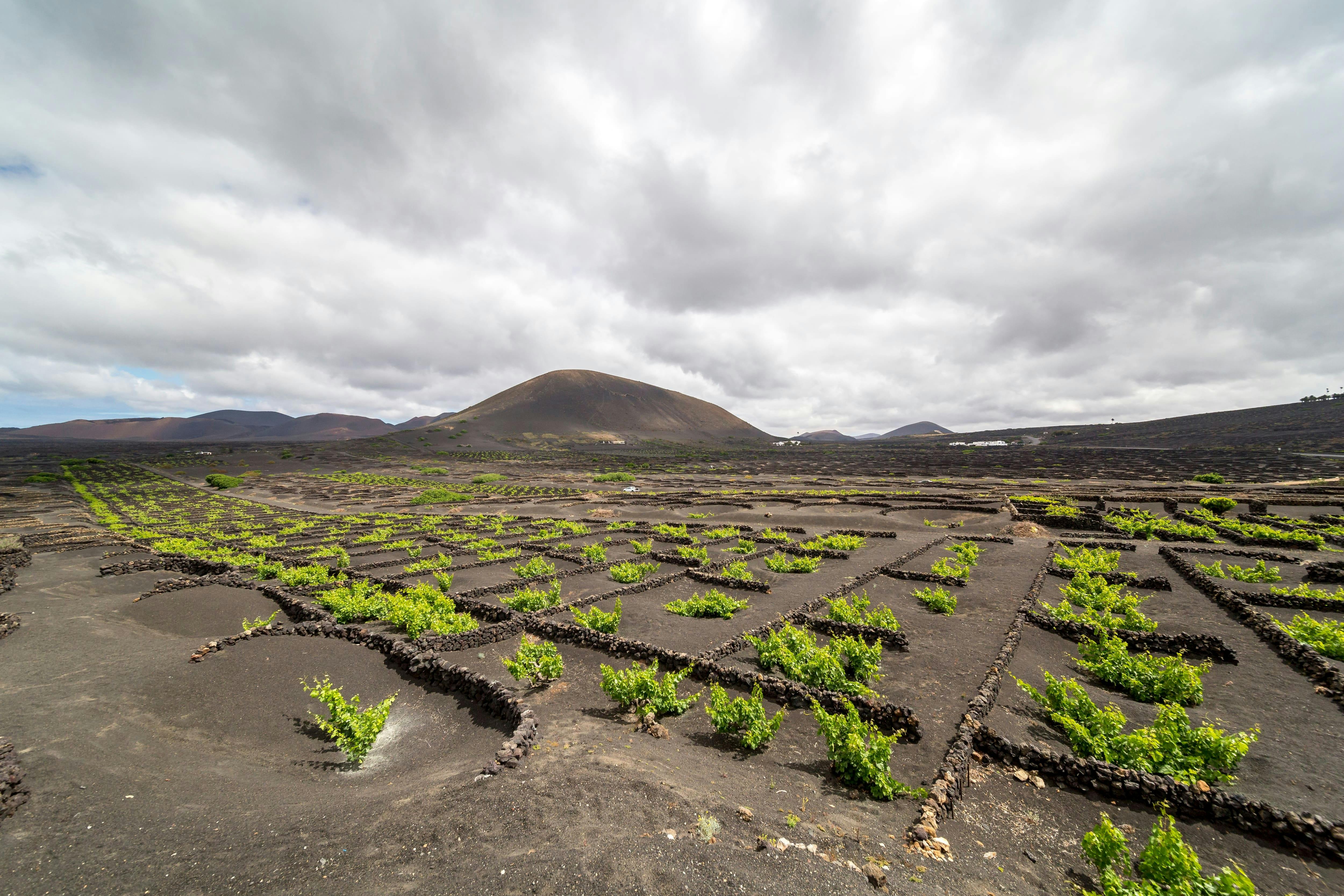 Lanzarote Three-hour Can-Am Spyder Tour