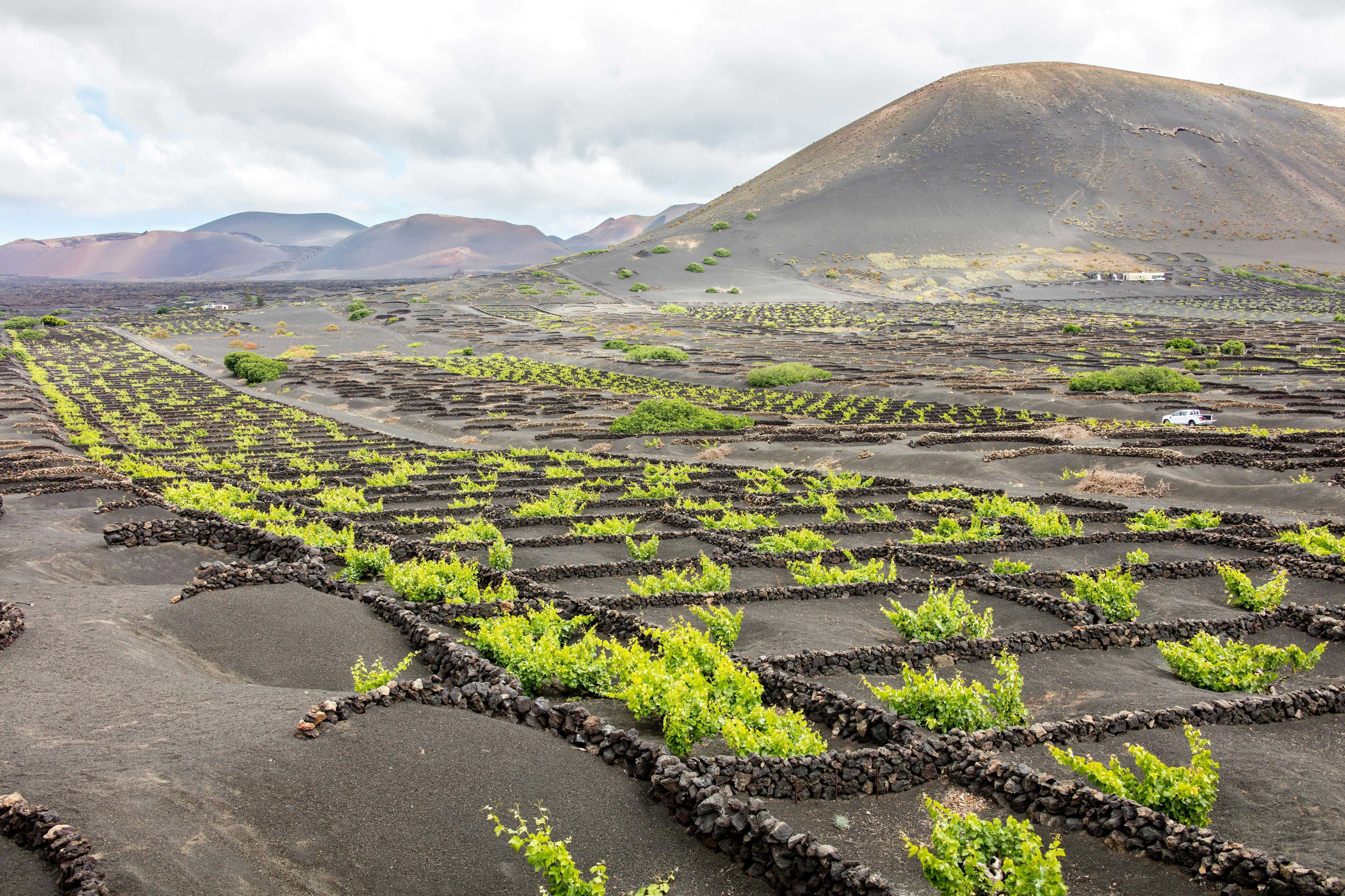 Lanzarote Three-hour Can-Am Spyder Tour