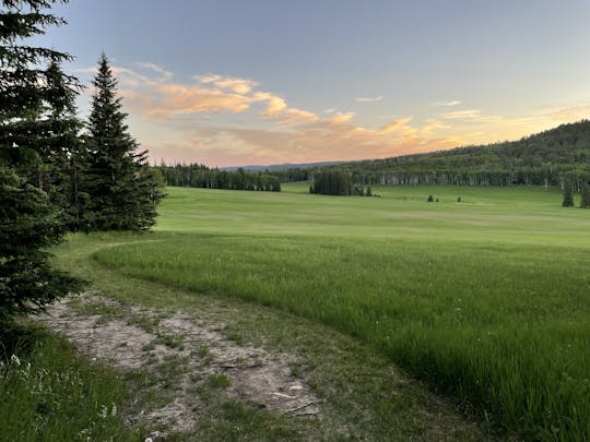 Recorrido de aventura por el norte de Black Hills, Deadwood y Spearfish Canyon