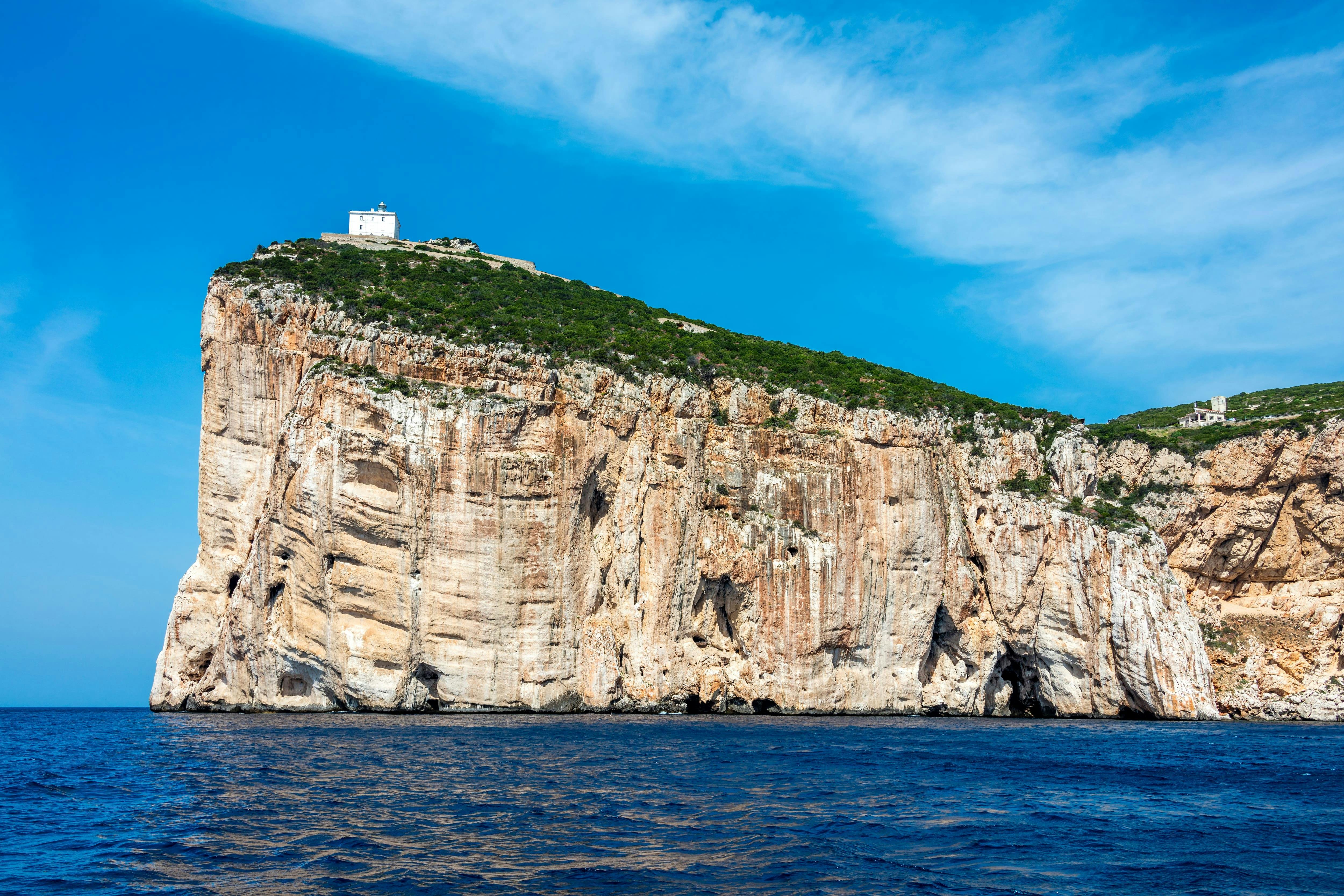 Sardinia Dolphin Watching Boat Cruise