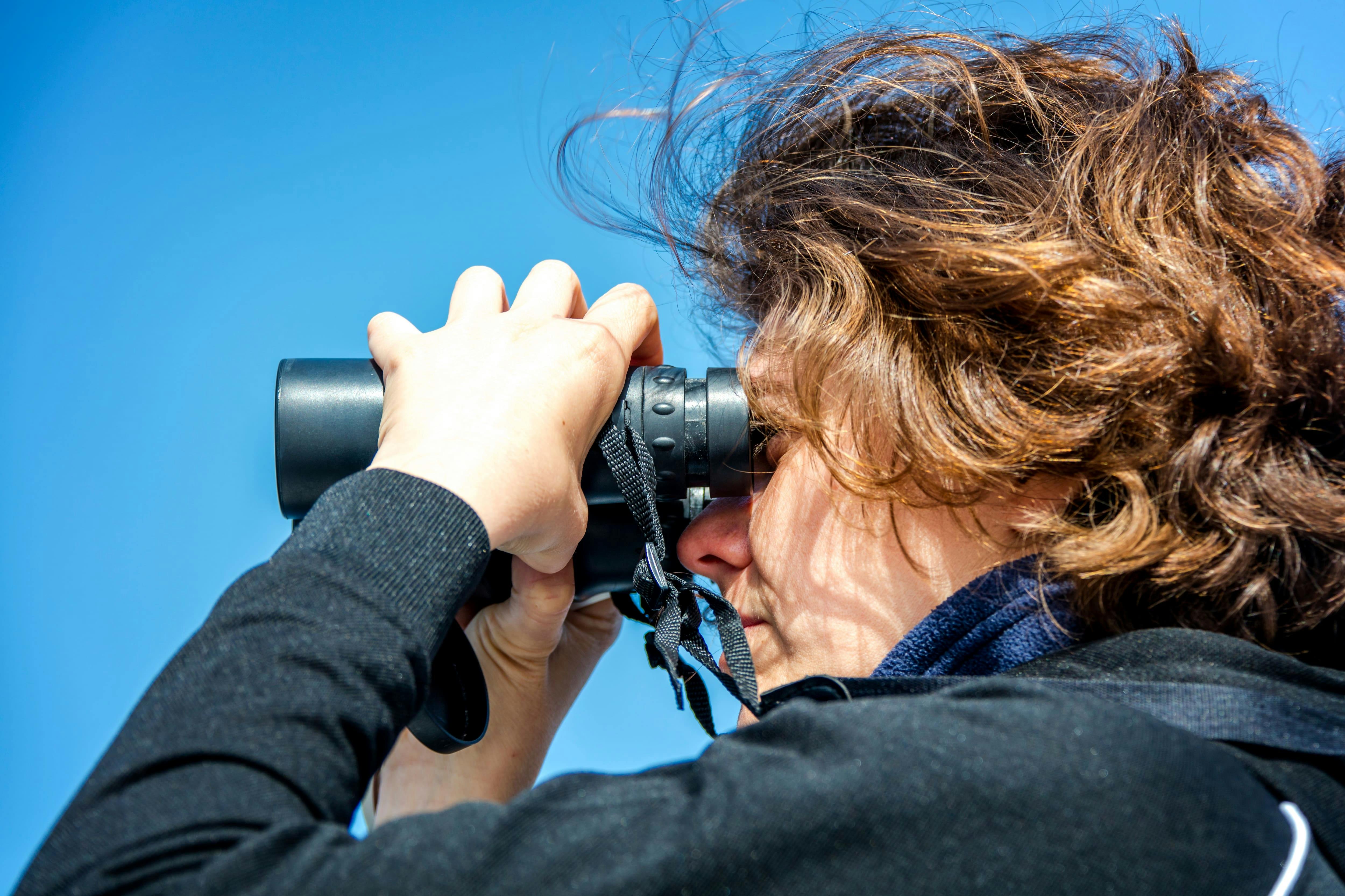 Sardinia Dolphin Watching Boat Cruise