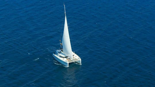 Excursion en catamaran 