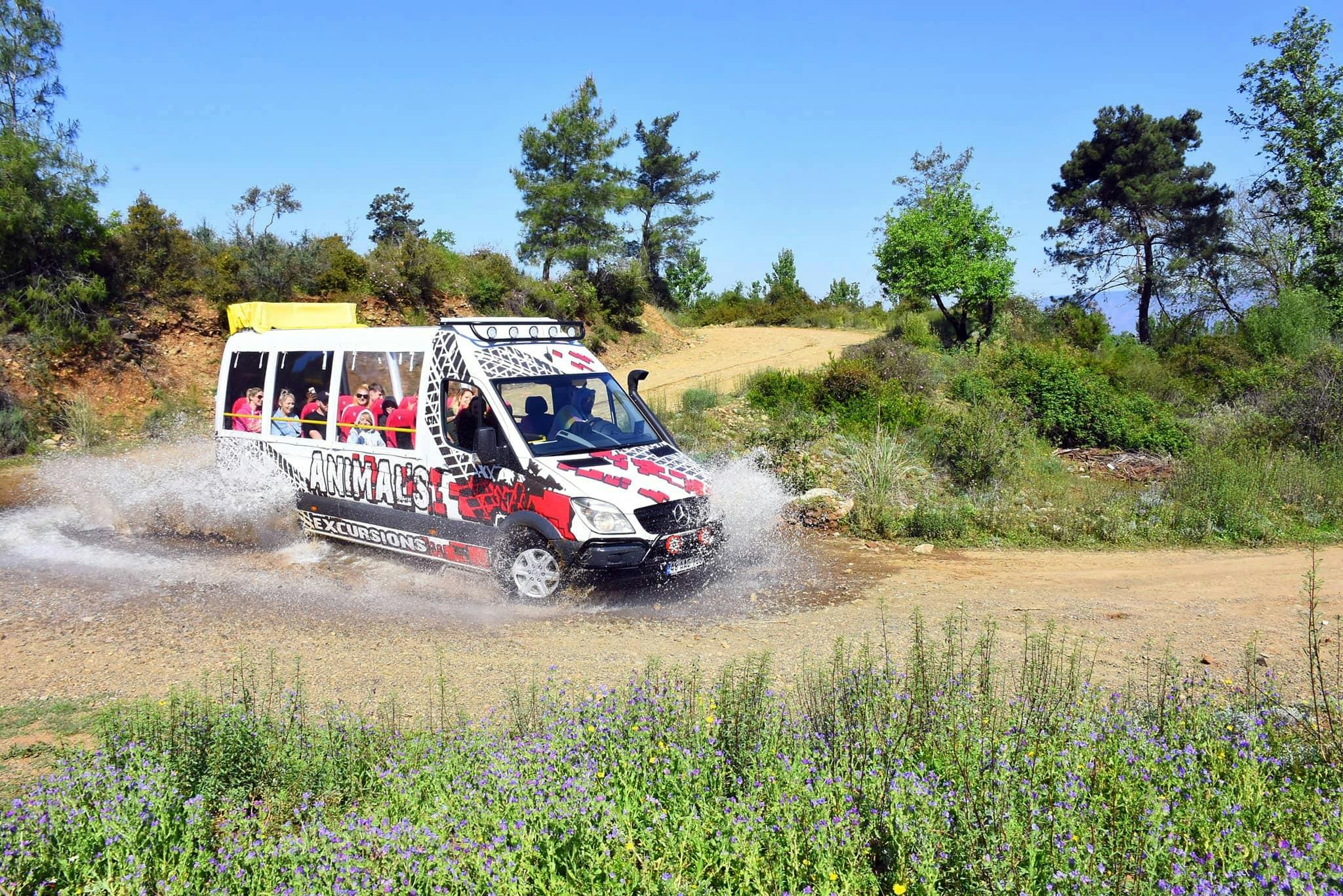 Animal's Outback Safari