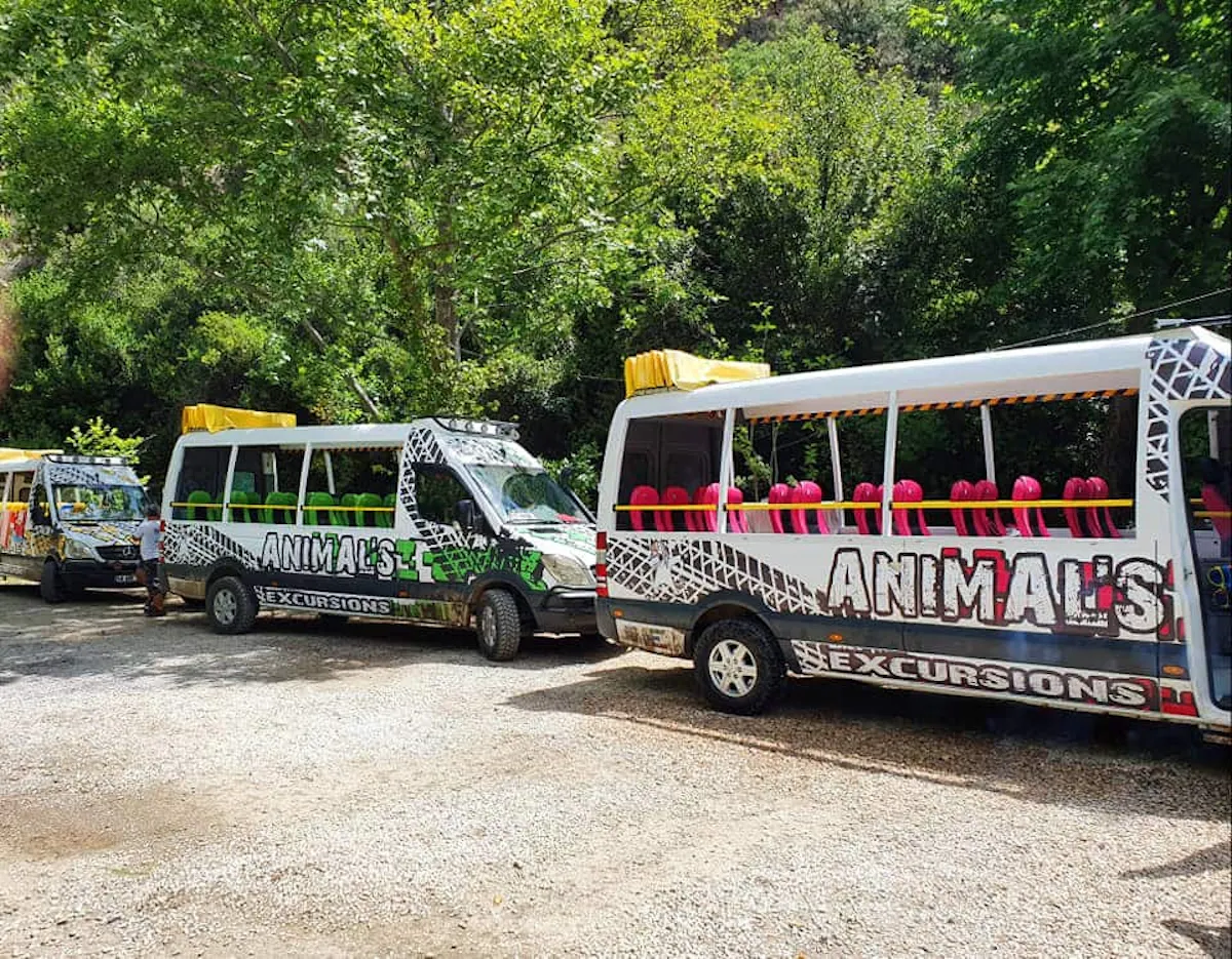 Animal's Outback Safari