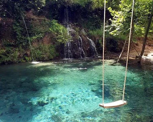 Animal's Outback Safari