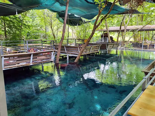 Animal's Outback Safari