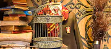 Harry Potter-Touren ab London