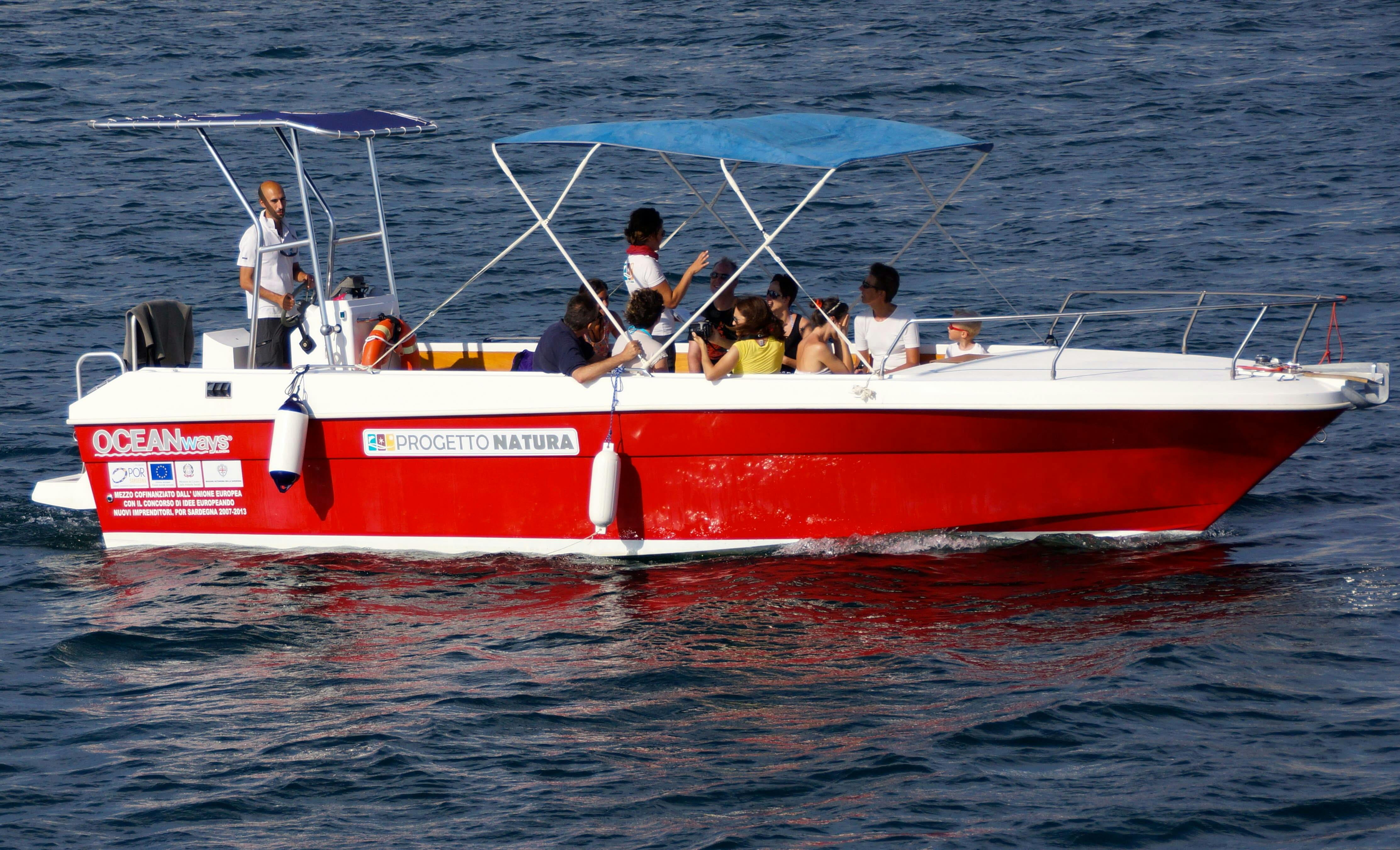 Sardinia Dolphin Watching Boat Cruise