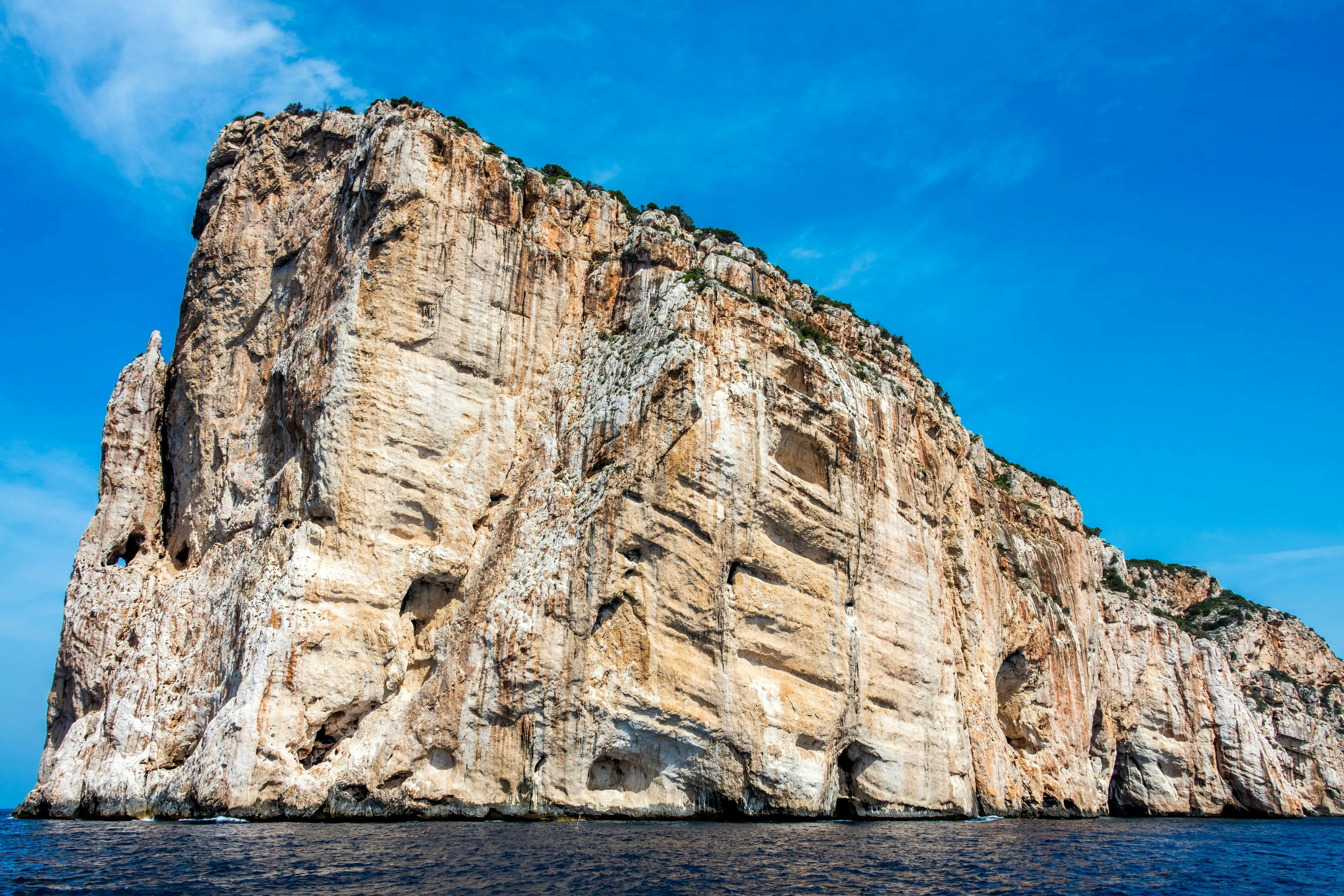 Sardinia Dolphin Watching Boat Cruise