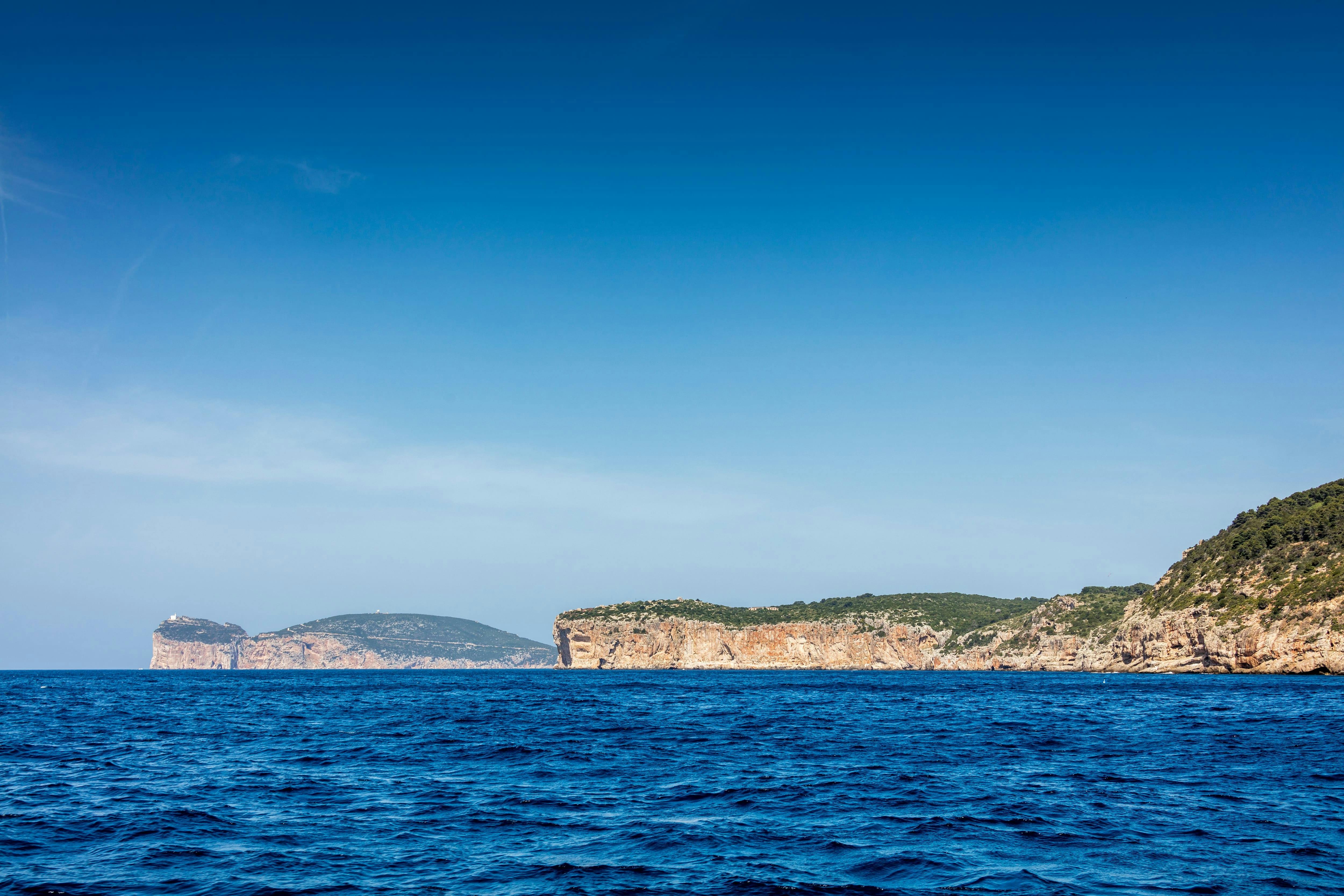 Sardinia Dolphin Watching Boat Cruise