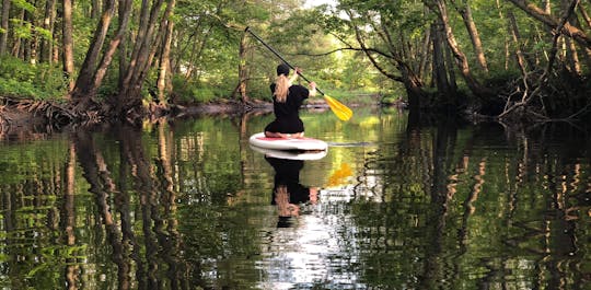 Aventure SUP à Göteborg