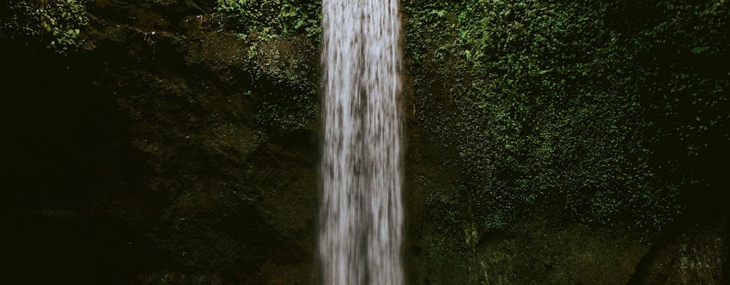 Visite des chutes d'eau de Bali