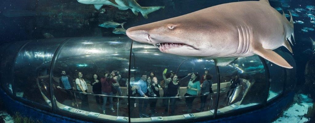 Barcelona Aquarium