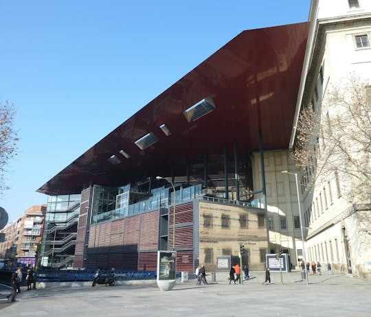 Reina Sofía Museum Skip-The-Line Guided Tour