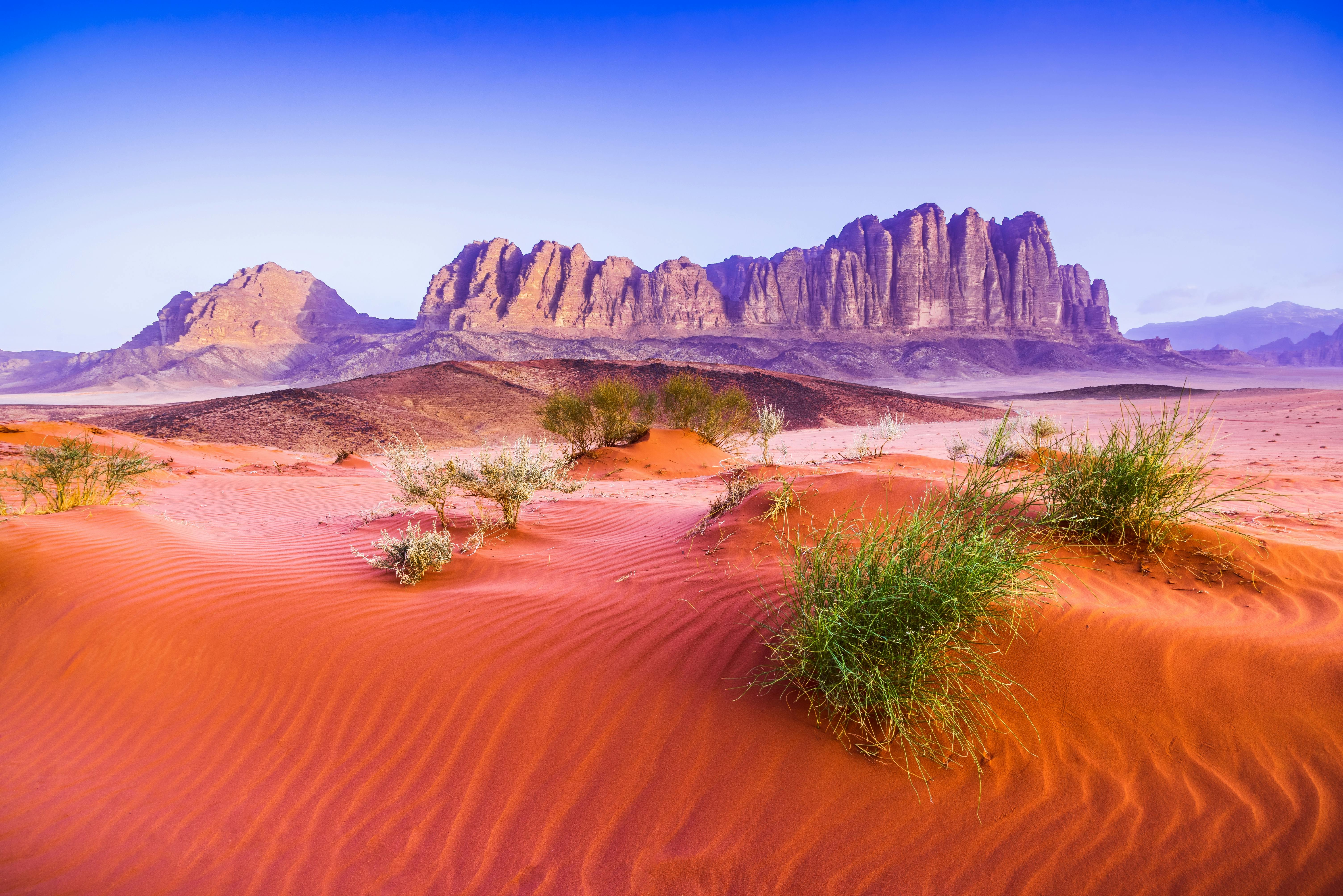 Gita privata di un'intera giornata al deserto marziano della valle del Wadi Rum dal Mar Morto
