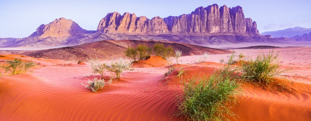 Prywatna całodniowa wycieczka do doliny Wadi Rum na księżycowej pustyni marsjańskiej z Morza Martwego