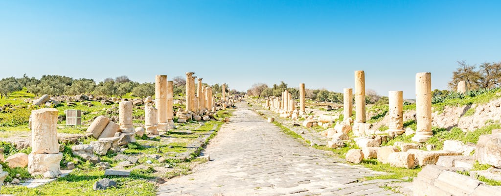 Private tour of Jerash and Umm Qais from Dead Sea