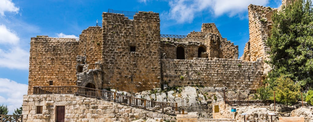 Tour Privado a Jerash e Ajloun saindo do Mar Morto