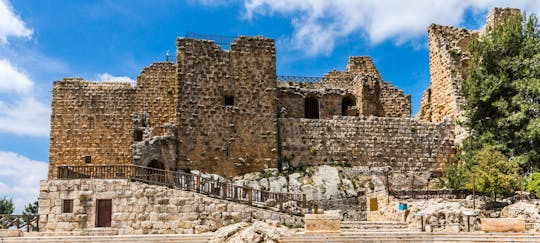 Visite privée à Jerash et Ajloun de la mer Morte