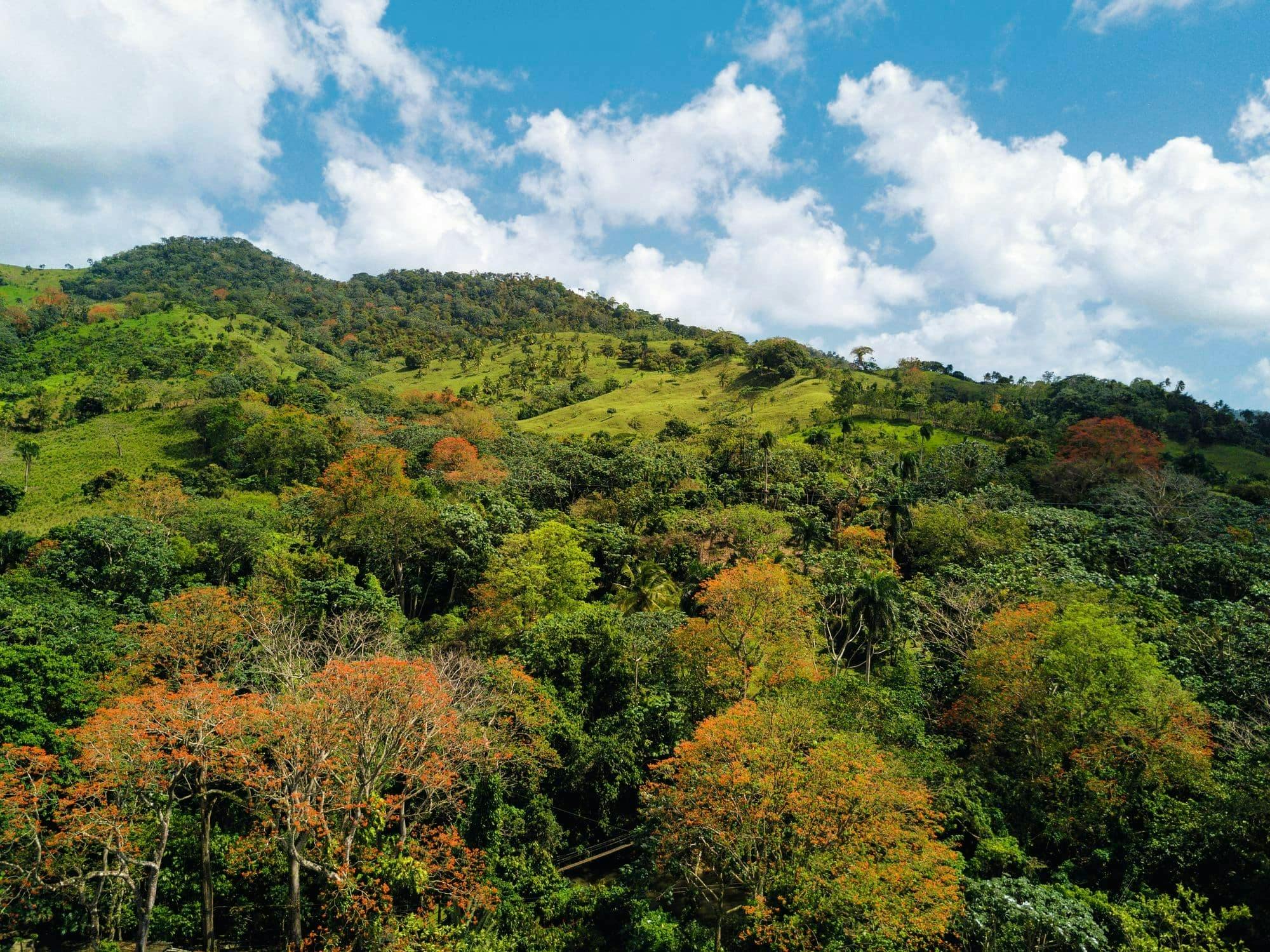 Puerto Plata Mega Zip Line Experience