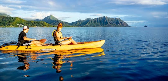 Przygoda z przewodnikiem na rafie koralowej Kaneohe Bay Coral Reef