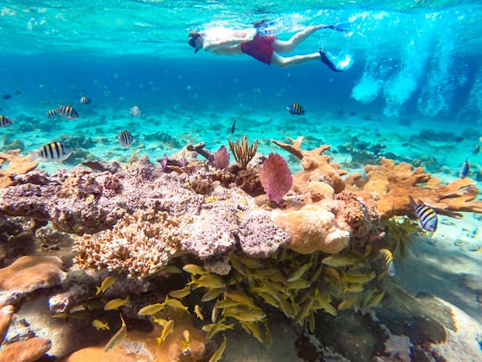 Pearl Island strandontsnappingstour met lunch en snorkelen