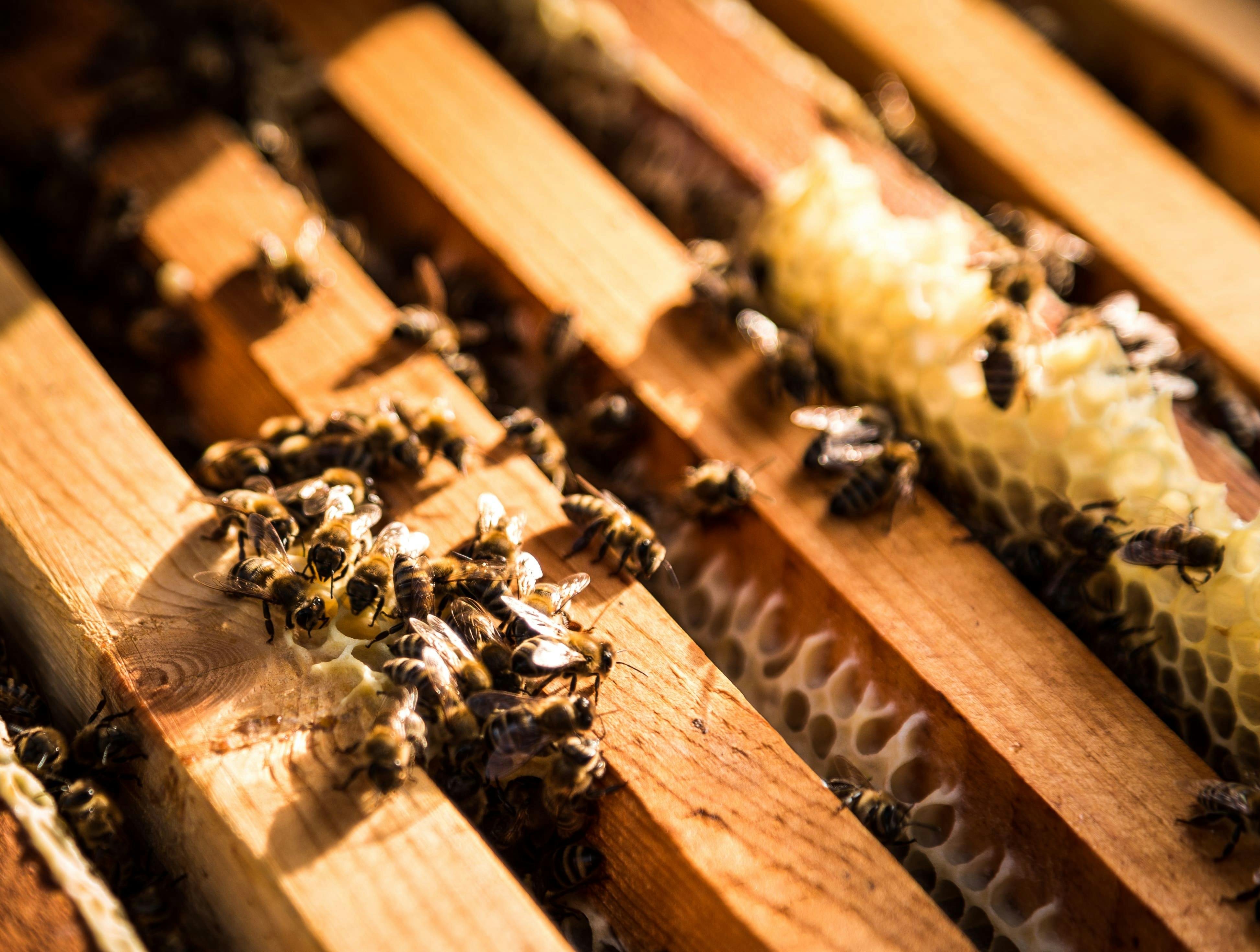 Hidden Bulgaria Tour from Obzor