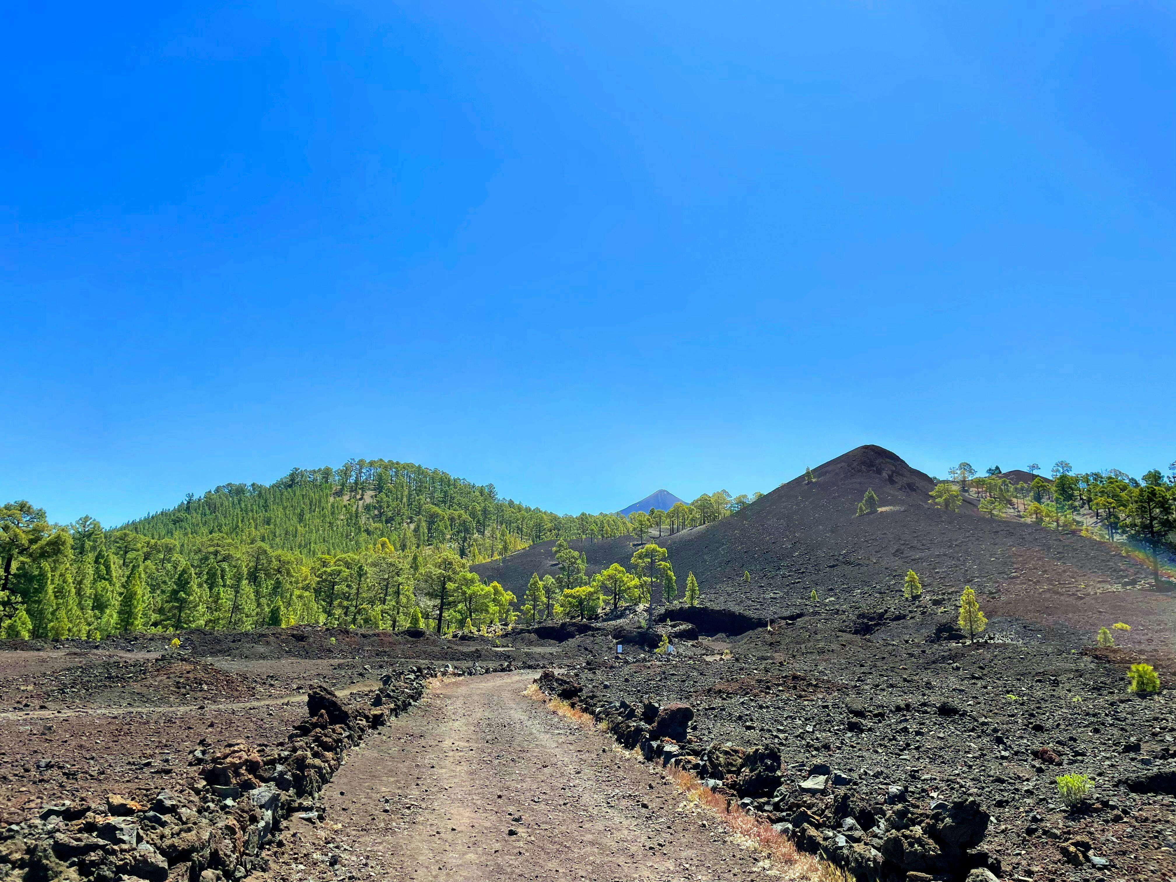 Historic Volcanoes Hiking Tour