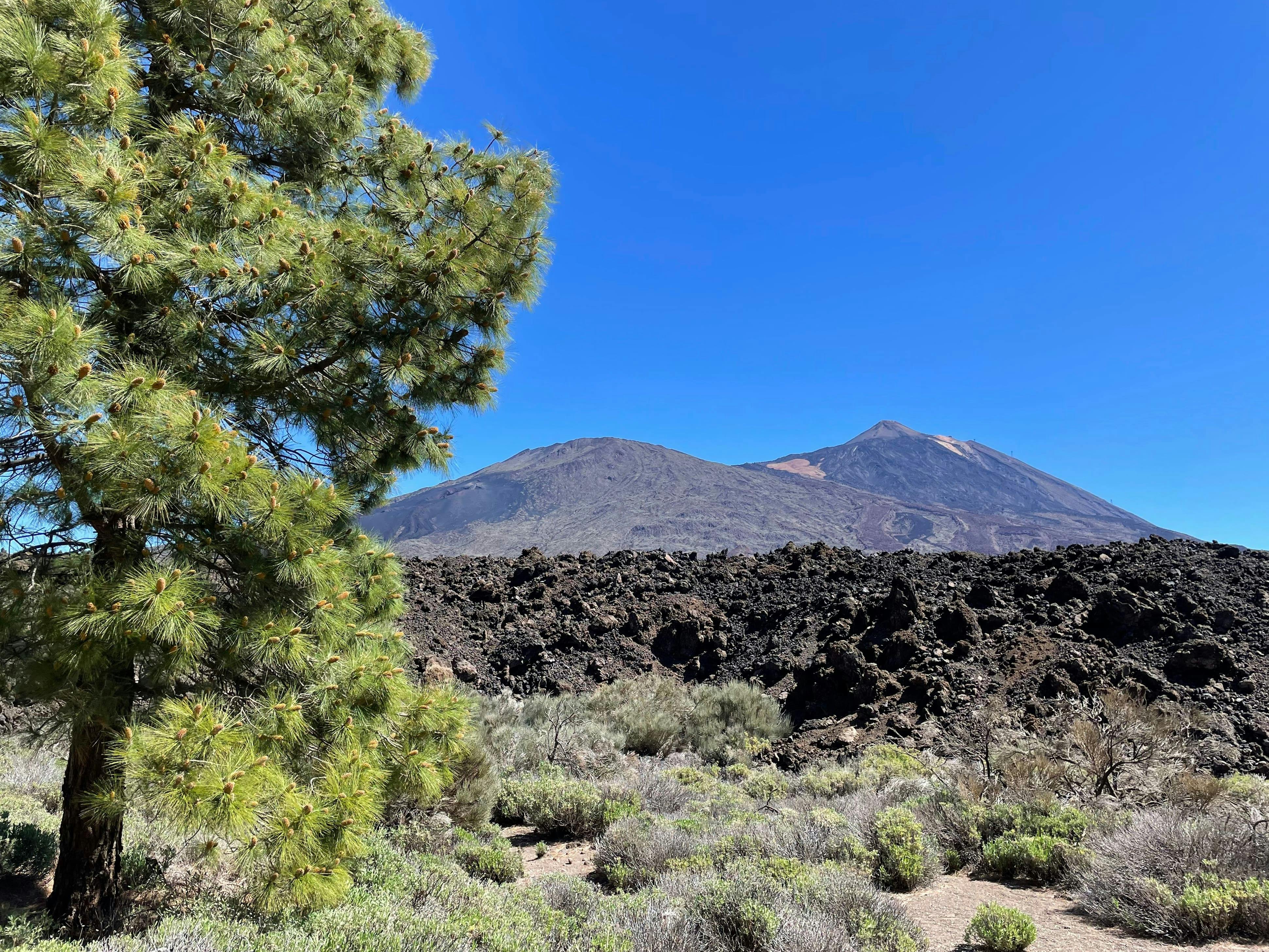 Circuit de randonnée historique sur les volcans