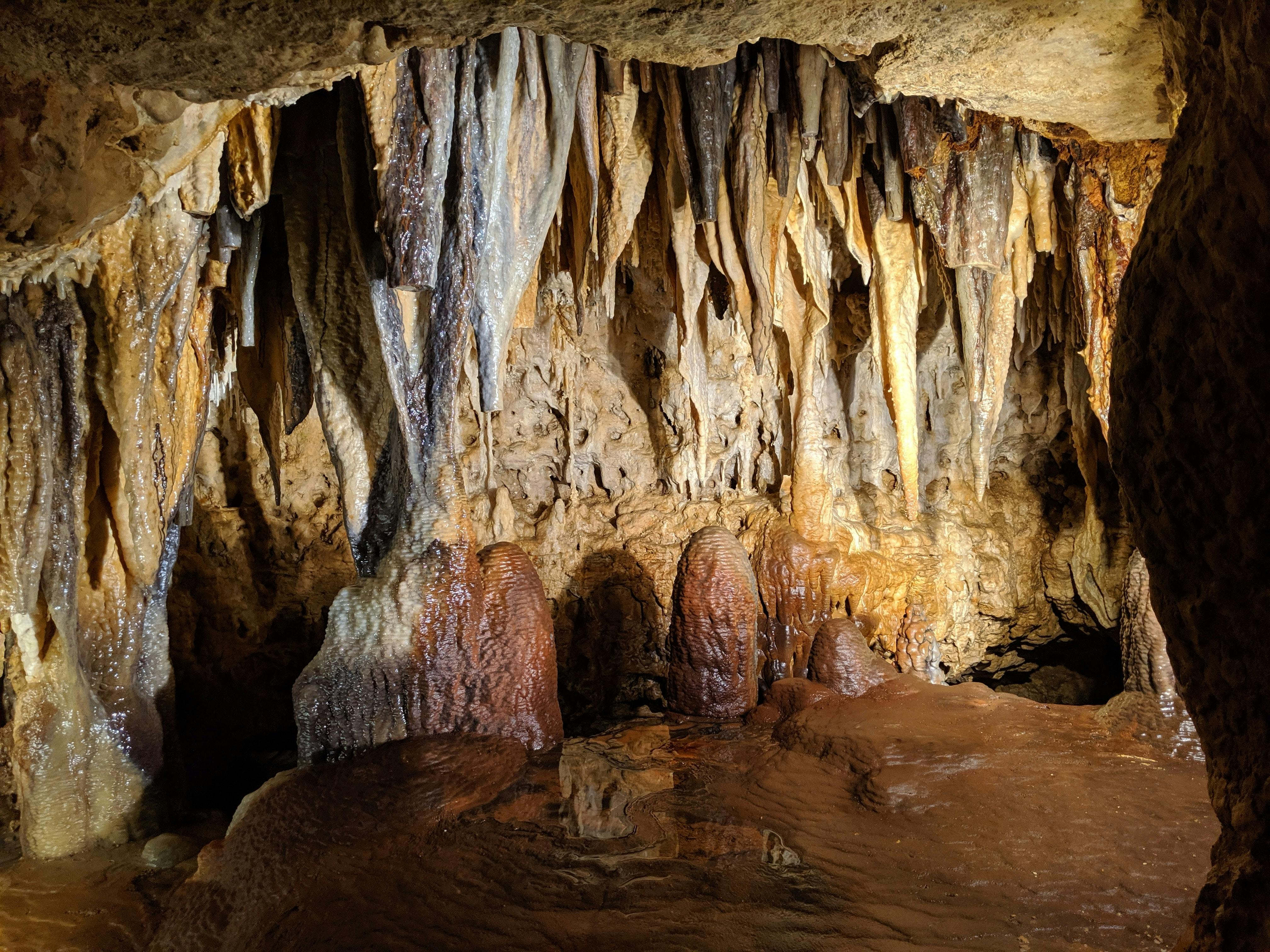 Tour to the Drach Caves from the East area