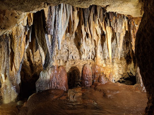Tour to the Drach Caves from the East area