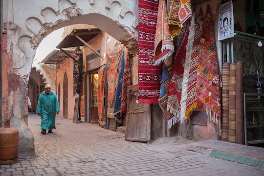 Tour privado de medio día por la ciudad de Marrakech