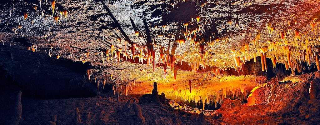 Halbtägige Tour zur Hams-Höhle auf Mallorca aus dem Norden