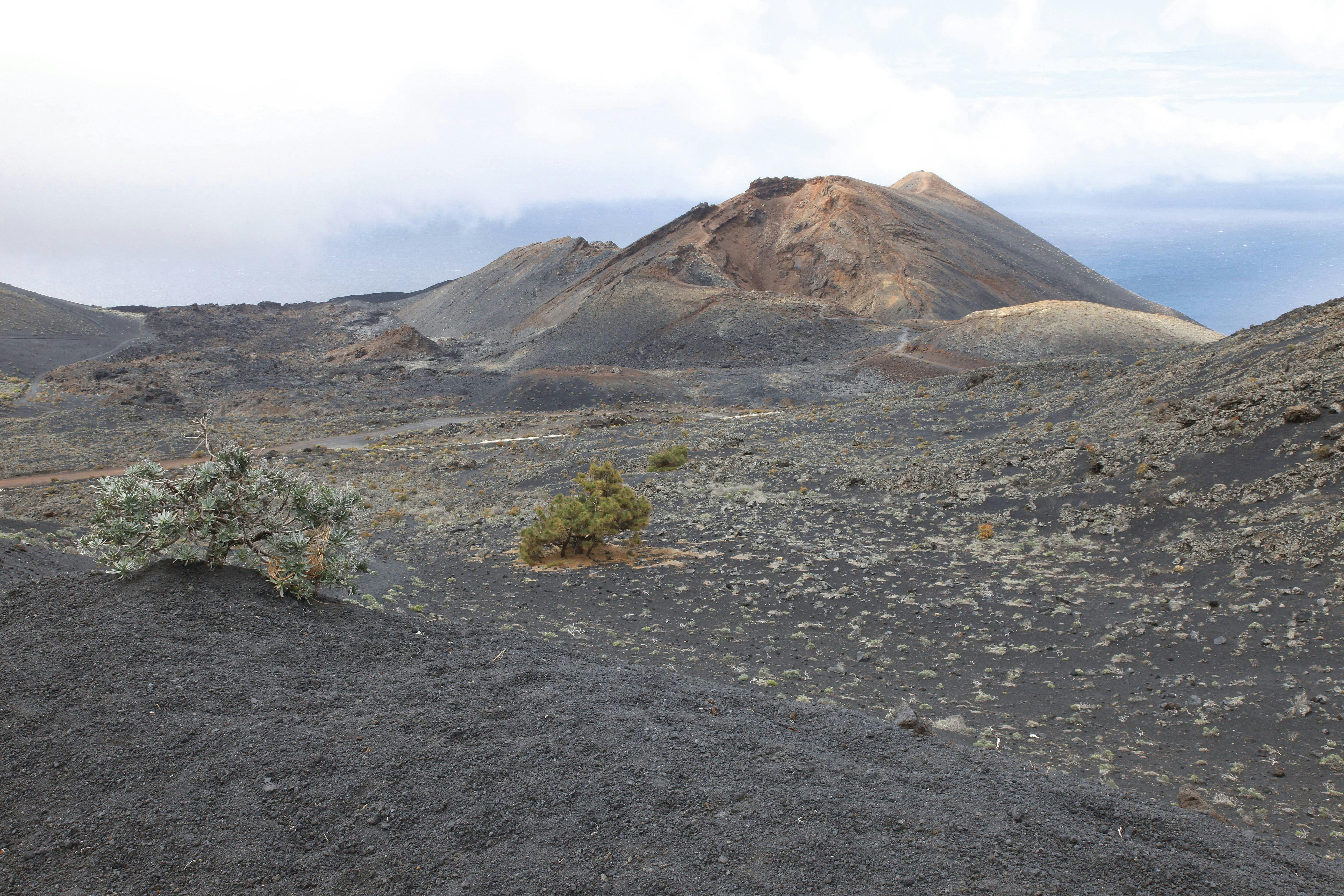 La Palma Island Tour