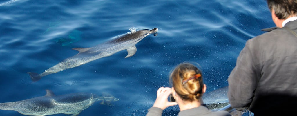 Gran Canaria Spirit of the Sea Rejs z Obserwacją Delfinów