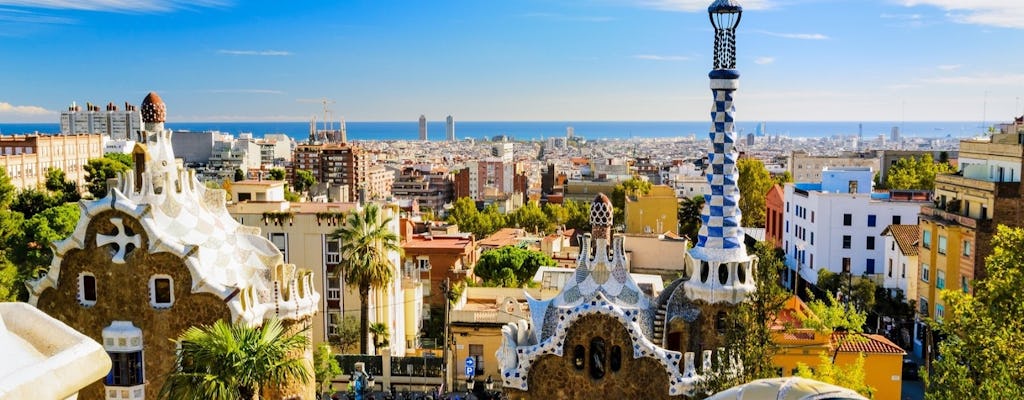 Tour combinato di Barcellona con Sagrada Familia e Parc Güell